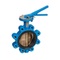 Butterfly valve Type: 6421 Ductile cast iron/Aluminum bronze Squeeze handle Lug type